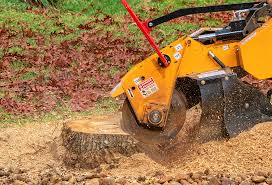 Best Lawn Renovation and Restoration  in Spry, PA