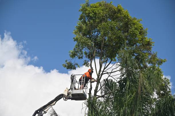 Landscape Design and Installation in Spry, PA