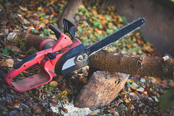 Best Tree Disease Treatment  in Spry, PA